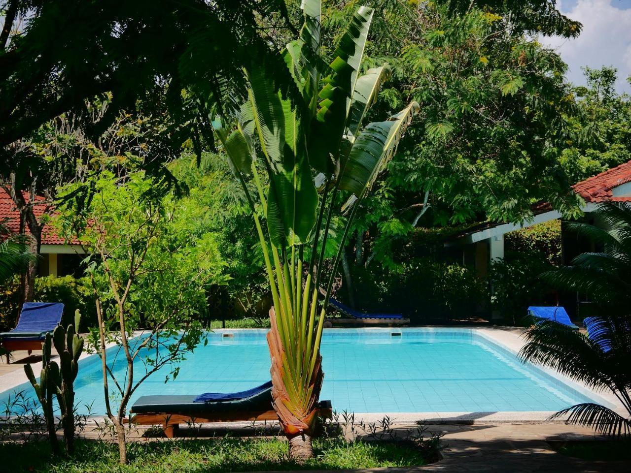 Diani Cottages Diani Beach Luaran gambar